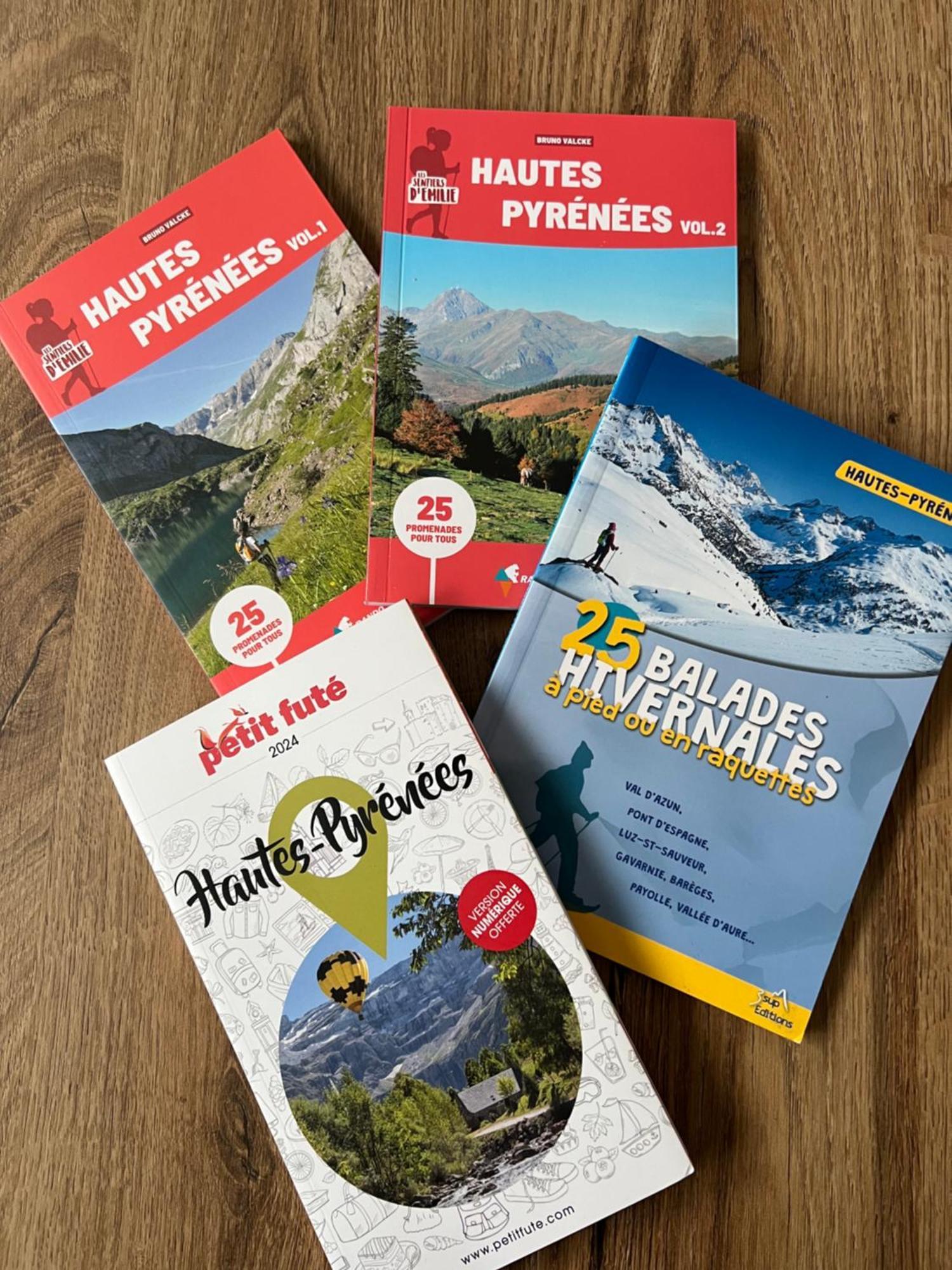 Appartamento Le Raffine Loustal-Oc Tarbes Pyrenees Esterno foto